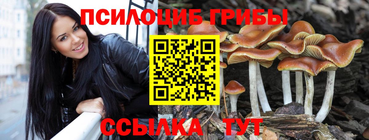 Псилоцибиновые грибы Psilocybine cubensis Евпатория